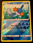 Mudkip