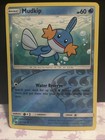 Mudkip