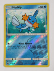 Mudkip