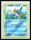 Mudkip