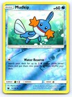 Mudkip