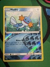 Mudkip