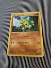 Larvitar