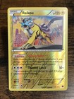 Raikou