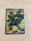 Zekrom Ex