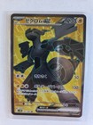 Zekrom Ex