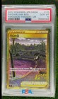 Gapejaw Bog