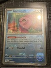 Alomomola