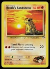 Brock's Sandshrew