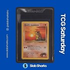 Brock's Sandshrew