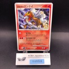 Crystal Tower's Entei