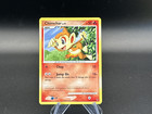 Chimchar