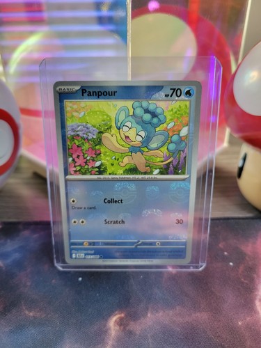 Panpour
