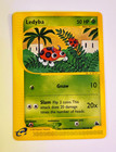 Ledyba