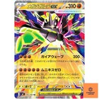 Mega Zygarde ex