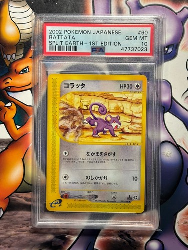 Rattata