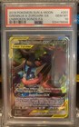 Greninja & Zoroark GX