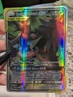 Greninja & Zoroark GX