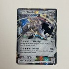 Steelix EX