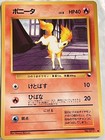 Ponyta