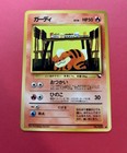 Ponyta