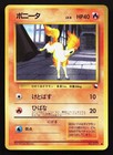 Ponyta
