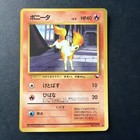 Ponyta
