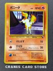 Ponyta