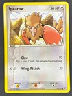 Spearow