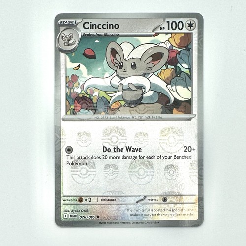 Cinccino