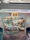 Cinccino