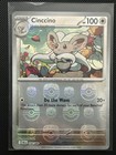Cinccino