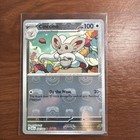 Cinccino