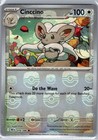 Cinccino
