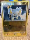 Shinx