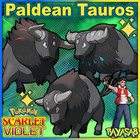 Paldean Tauros