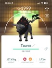 Paldean Tauros