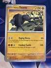 Paldean Tauros