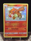 Charmeleon