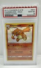 Charmeleon