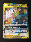 Reshiram & Charizard GX