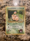 Erika's Exeggcute