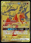 Reshiram & Charizard GX