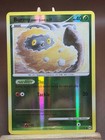 Burmy