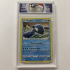 Kyogre