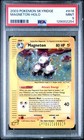 Magneton