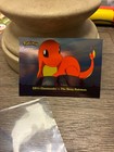 Charmander-the Stray Pokemon