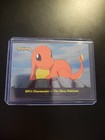 Charmander-the Stray Pokemon
