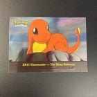 Charmander-the Stray Pokemon