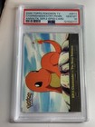Charmander-the Stray Pokemon
